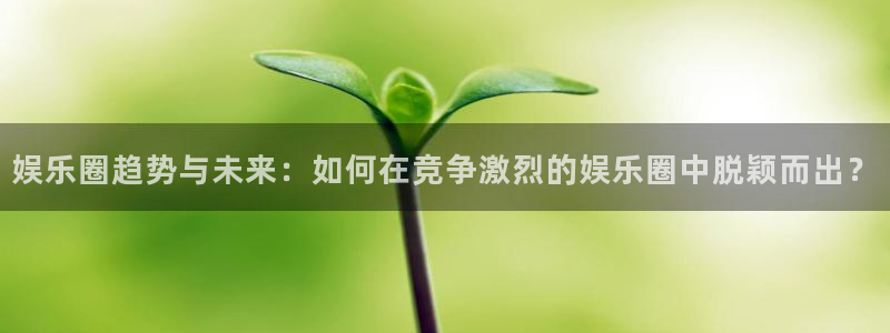 杏宇：娱乐圈趋势与未来：如何在竞争激烈的娱乐圈中脱颖而出？