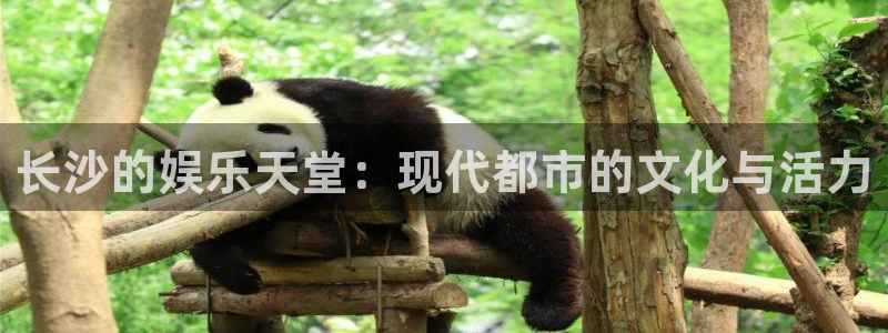 杏宇娱乐：长沙的娱乐天堂：现代都市的文化与活力