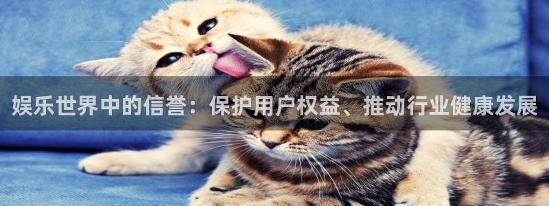 杏宇平台：娱乐世界中的信誉：保护用户权益、推动行业健康发展