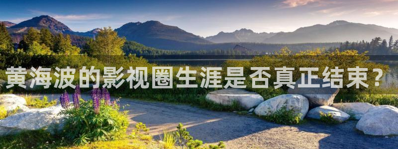 杏宇娱乐：黄海波的影视圈生涯是否真正结束？
