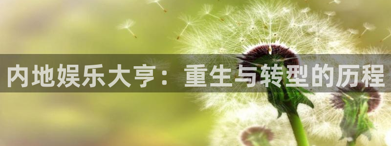 杏宇：内地娱乐大亨：重生与转型的历程