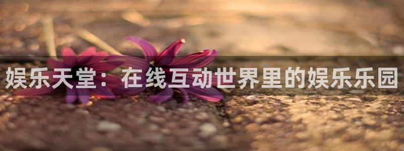 杏宇在线：娱乐天堂：在线互动世界里的娱乐乐园