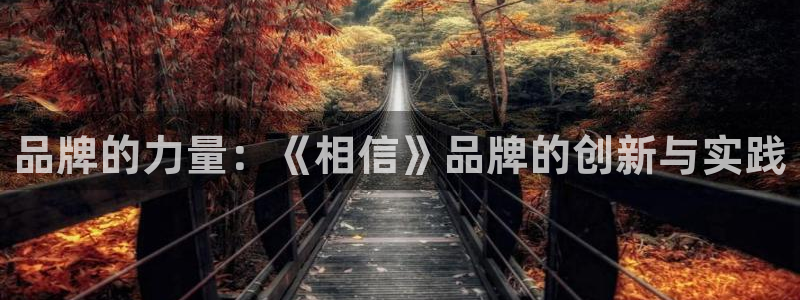 杏宇：品牌的力量：《相信》品牌的创新与实践